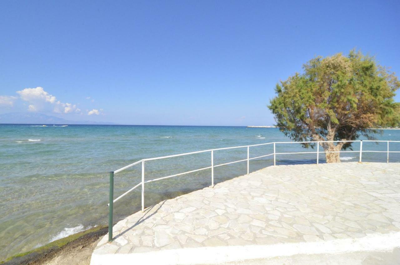 Oasis Beachfront Studios & Apartments, By Zantewize Alykanas  Bagian luar foto